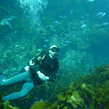 28 March 2009 Poor Knights Islands