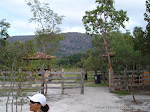 DSC01420_1200x900.jpg