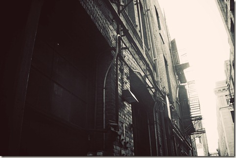 IMG_3954 copy