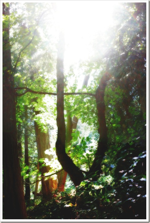 IMG_9140 Stitch copy