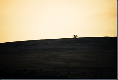 IMG_5924 IMG_5924