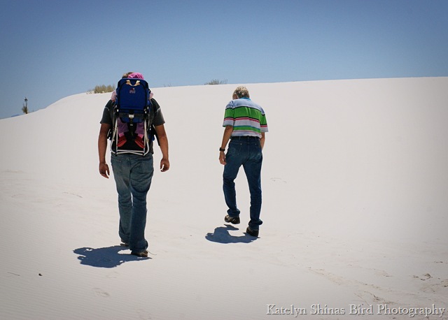 [sand 3 copy[2].jpg]
