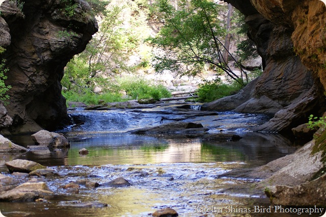 East Fork 5 copy