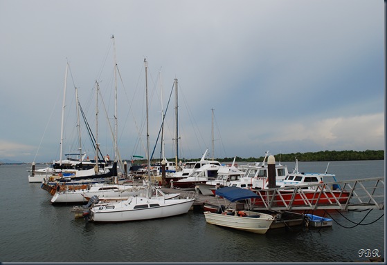 DSC_0193