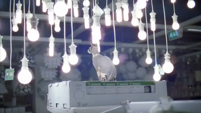 ikeakitty