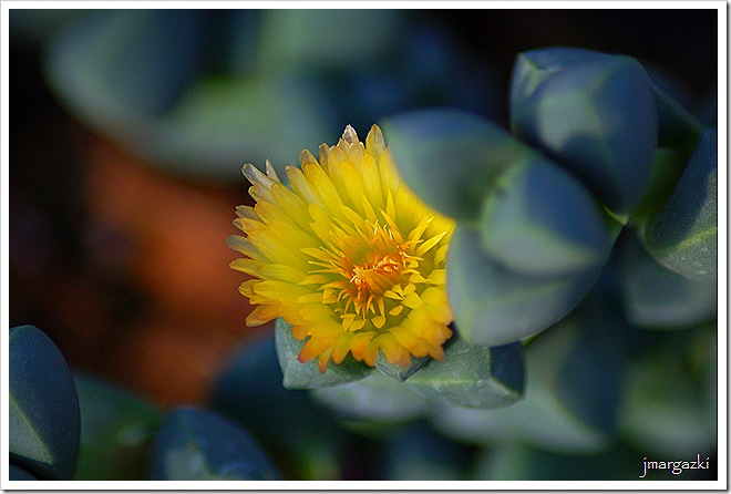 DSC_02320001 DSC_02320001