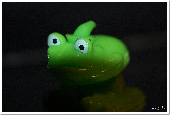 DSC_09160001 DSC_09160001