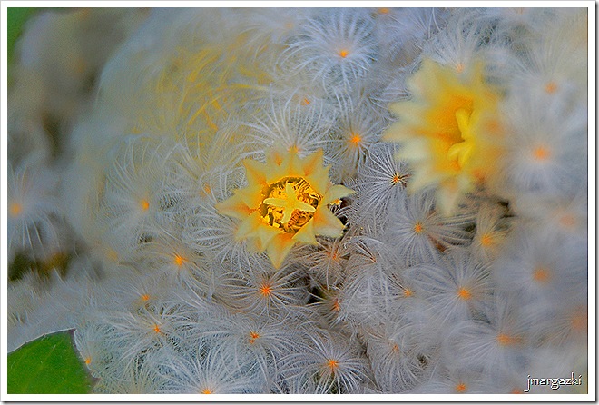 DSC_14560001_01 DSC_14560001_01