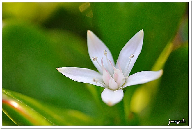 DSC_0134 DSC_0134