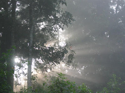 Sanctuary Bernama Bodogol
