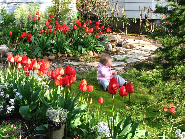 [2010-04-09 Tulips 065[10].jpg]