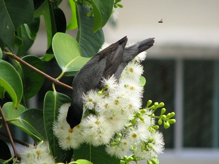 IMG_0217 IMG_0217
