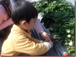 DSC02157_調整大小