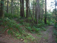 P1020295.JPG