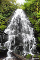 SAM_0012.JPG Photo
