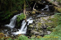 SAM_0022.JPG Photo