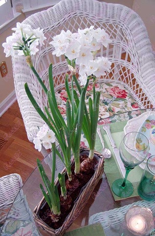 [Easter 05[4].jpg]