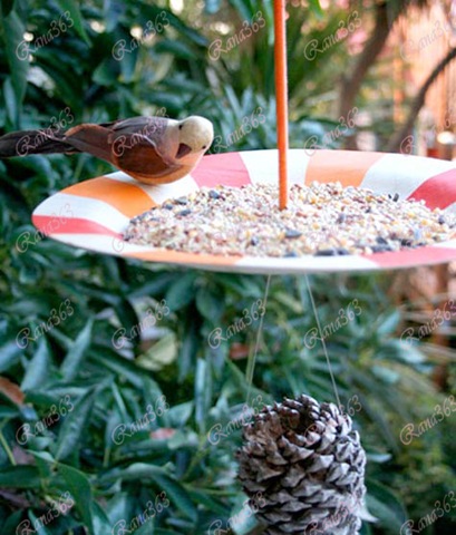 [birdiesnackshack22.jpg]
