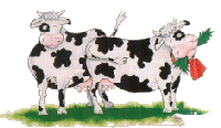 [cows[6].gif]