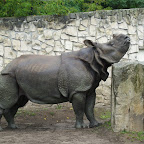 ZOO Warszawa