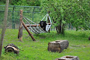 Ogród Zoobotaniczny Toruń (2010)
