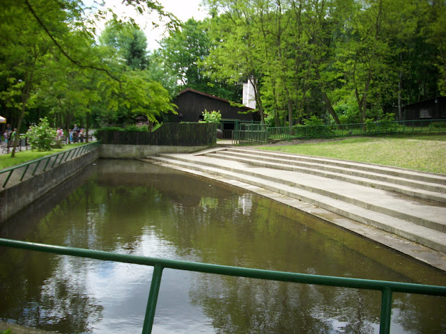 Basen hipopotamów nilowych - Zoo Oliwa