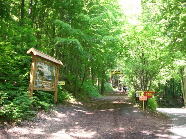 Park dinozaurów w oliwskim zoo