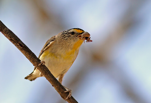 Меня это удивило - H:i1281170100