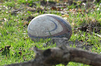 The rugby ball in its natural setting.