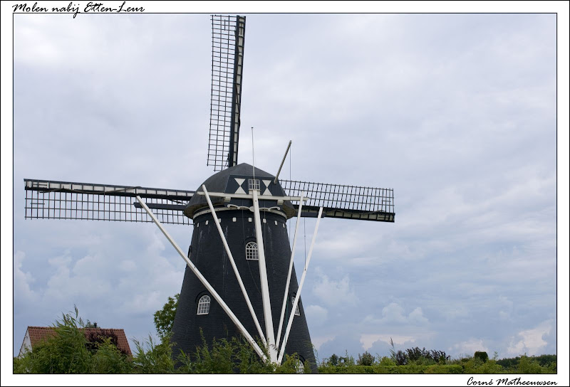 Afbeelding