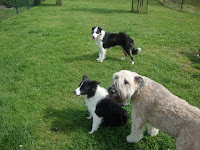 DSC01625.JPG