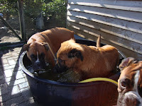 DSC05107.JPG