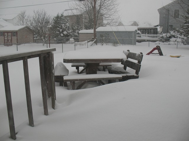 [snow 007[4].jpg]