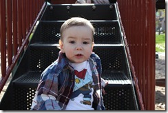IMG_0424 IMG_0424