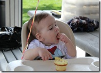 IMG_0561 IMG_0561