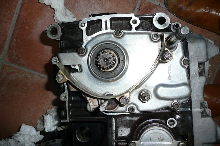 P1020939.JPG