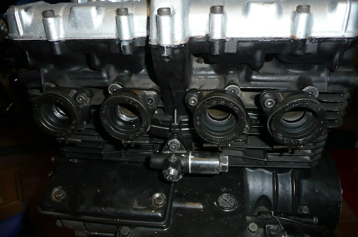 P1030024.JPG