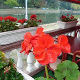 12.10.2007