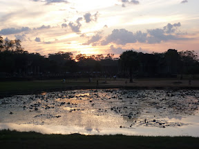 Looking out over one of the lily ponds in Angkor Wat's grounds as the sun sets.