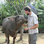 Although a brief stop for some bull love never hurt anyone.