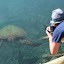 Turtles in the outside part of the aquarium