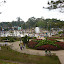 Flower Gardens from higher up