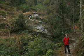 Lynette in front of the beautiful, yet slightly confusing, forests on the tip of the terrace tops...