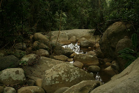 The incredible scenery surrounding the waterfall.