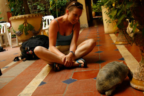 Back at Hostel Real; its one redeeming feature was the indiginous wildlife.