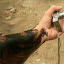 He also put some mud on my arm, I'm not sure what level of fascination he expected from this.