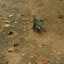 There were a couple of very fast Salamander tootling around the place...