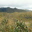 The vegetation was sparse here, so we thought we should take some photos of it. However as you get higher it screams back in with a vengeance.