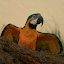 However is friend was much funnier, immediately preening for the camera.