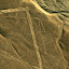The first of the Nazca geoglyphs, the whale.